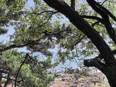 -青岛第二海水浴场