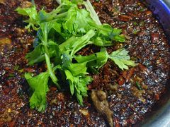 -温江公平红烧兔(总店)