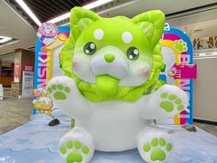 -哈尔滨热雪奇迹