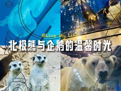 -大连圣亚海洋世界