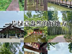 -采石矶景区