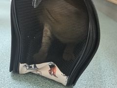 -动物缘宠物医院·骨科·猫科(西二环店)