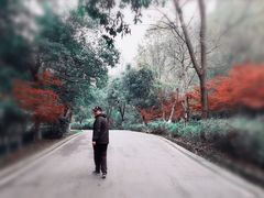 -南京市江宁方山
