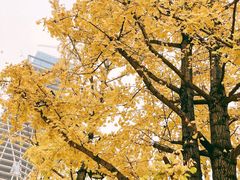-百林公园-两江幸福广场