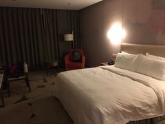 -北京广安门维景国际大酒店