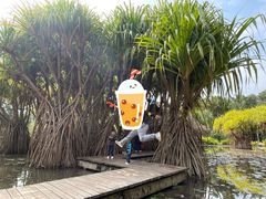 -中国科学院西双版纳热带植物园