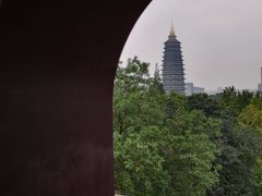 -红梅公园