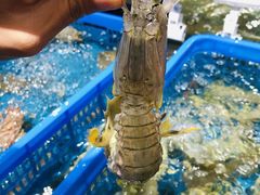 皮皮虾-盒马鲜生(皇庭广场店)