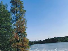 -海珠湖公园