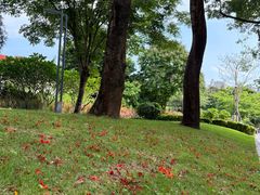 -金泰食府(竹园店)