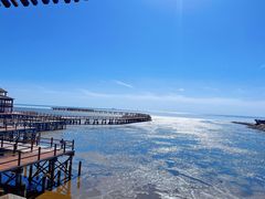 -红海滩国家风景廊道