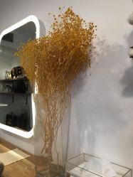 -净漪造型 PURE RIPPLE