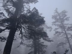 -瓦屋山景区
