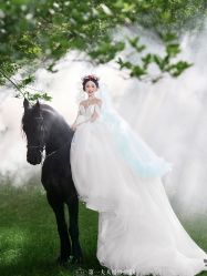 点击看大图 -第一夫人婚纱摄影(南京店)