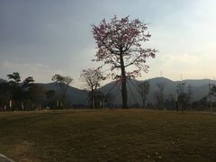 -白石龙音乐公园