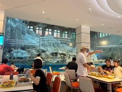 -帝企鹅自助餐厅•儿童岛•真企鹅(长隆企鹅酒店)