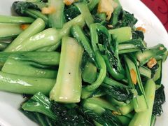 炒菜心-新合益乡村农庄