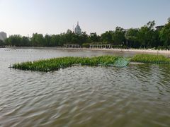 -莲花池公园
