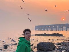 -星海湾跨海大桥