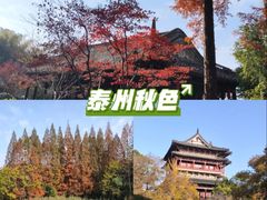 -凤城河风景区
