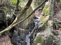 -南丹山森林王国