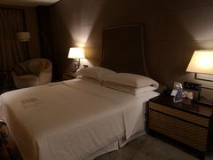 -西安赛瑞喜来登大酒店