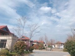 小区环境-太阳湖大花园钻石湾