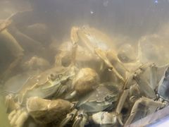 -芝小官毛肚火锅海鲜自助(淮安清江浦区新亚店)