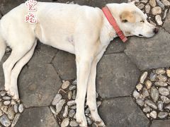 -田德能咖啡博物馆