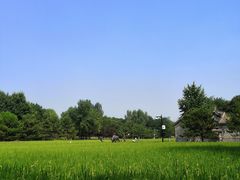 -北坞公园