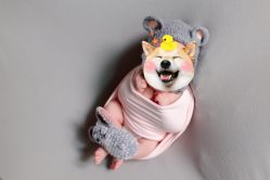 -星宝贝儿童摄影