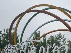 -紫颐香薰山谷景区