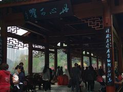 -重庆彩云湖湿地公园