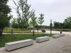 -上海山野camping·户外天幕烧烤·团建拓展营地