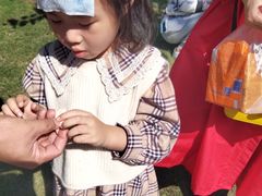 -田园东方蜜桃村的田野营地