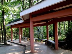 -九曜山