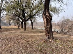 -花园口旅游区