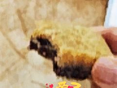 -曹祥泰(解放路店)