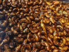 -昆虫窝子·特色云南菜(拓东路总店)