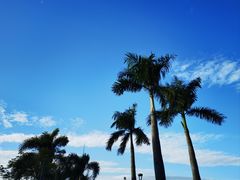 -厦门园林博览苑
