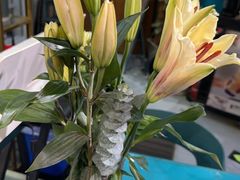 -My Way Town买味堂·东南亚餐厅(亦庄店)