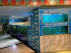 -金龙渔港(双楠店)