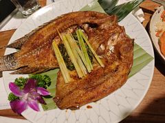 -紫滇源云南生态菜(丹凤街店)