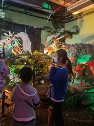 -恐龙探索乐园(磁器口店)