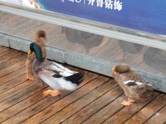 -泉乐坊步行街(烟酒特产平价超市店)