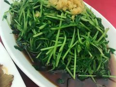 泉水豌豆苗-田园小观园(武大店)