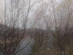 -大连自然博物馆·地球展厅