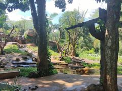 -海南热带野生动植物园
