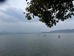 -知味观(湖滨店)