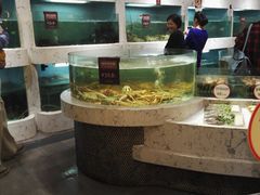 水产区-徐记海鲜·宴会(大唐西市|丰庆店)